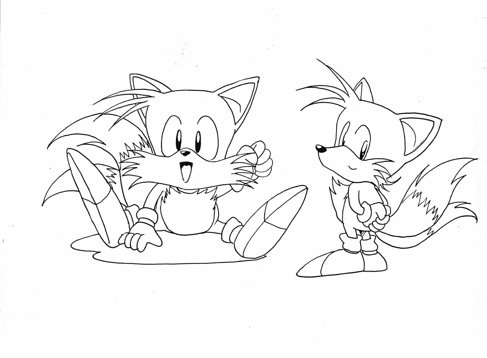 Unseen Sonic the Hedgehog 2 Art by Yasushi Yamaguchi Comes To Light - Sonic  Retro