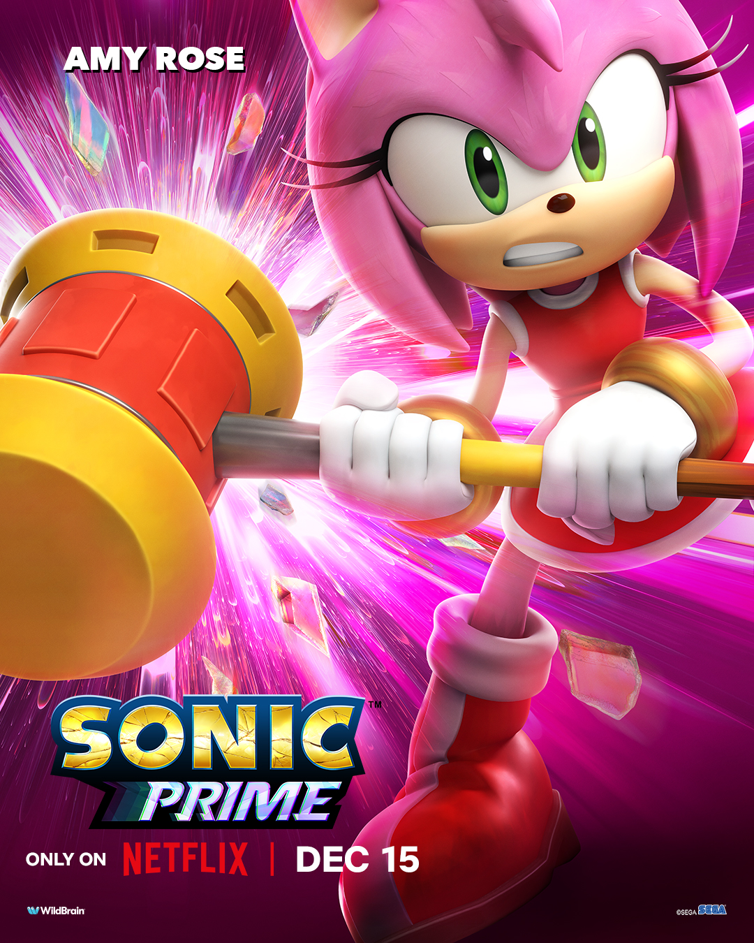 Sonic Prime - Netflix Series - Where To Watch