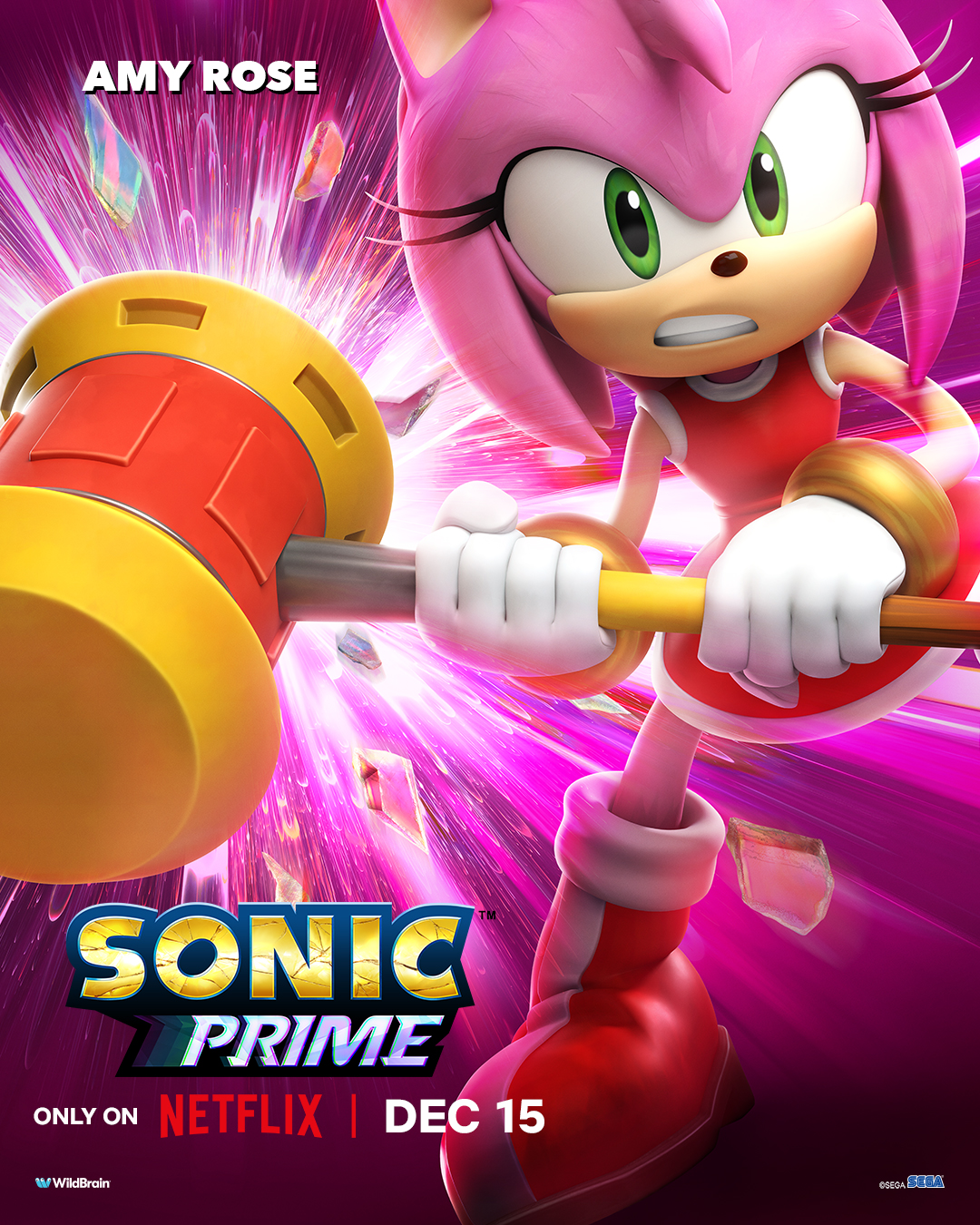 Sonic Prime' Netflix Trailer Shows a Speedster Multiverse - CNET