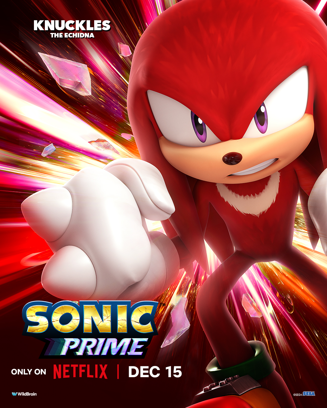 Sonic Prime Premieres December 15 on Netflix - QooApp News